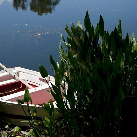 Herdades Da Frupor - Casas De Campo Brejao Eksteriør billede